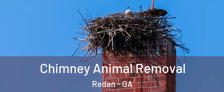  Chimney Animal Removal Redan - GA