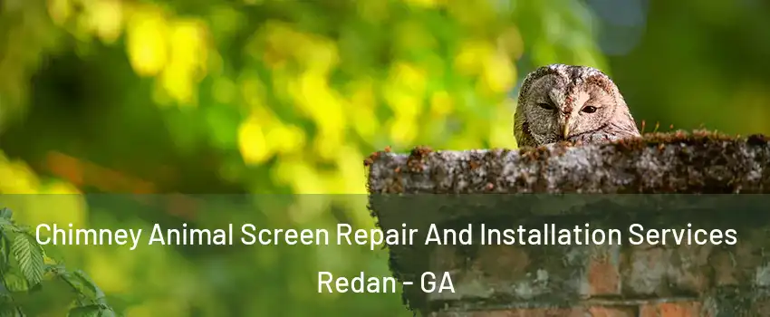  Chimney Animal Screen Repair And Installation Services Redan - GA