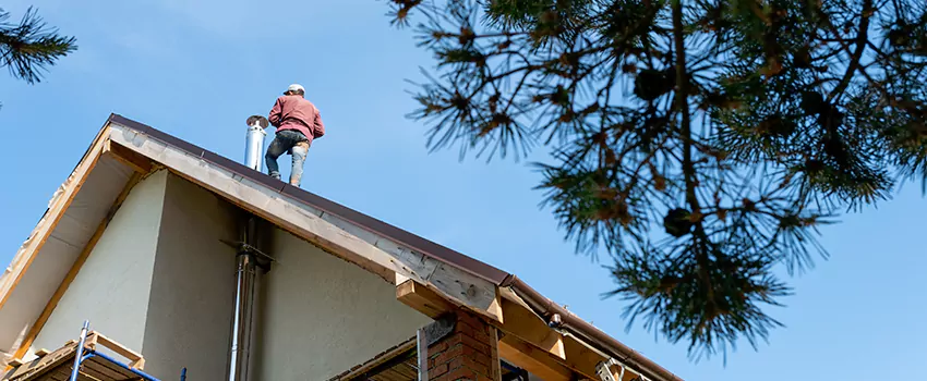Birds Removal Contractors from Chimney in Redan, GA